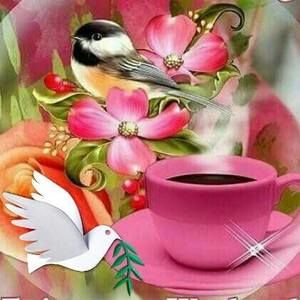 Meet your Posher, Thressia